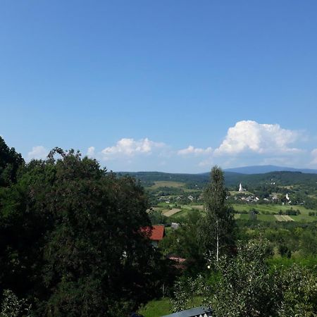 Котедж "Лісовий Затишок" Glubokoye Exteriér fotografie