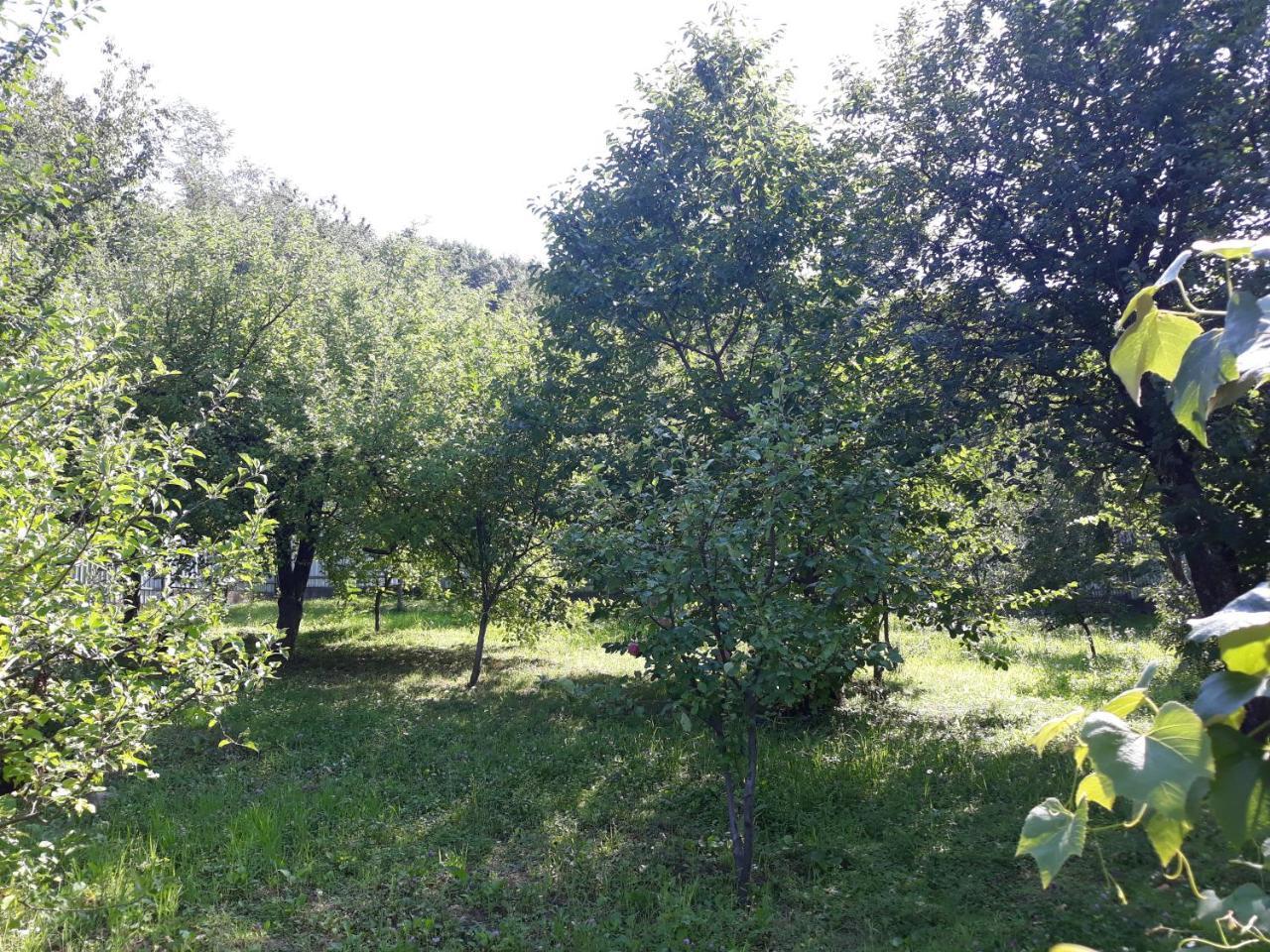 Котедж "Лісовий Затишок" Glubokoye Exteriér fotografie