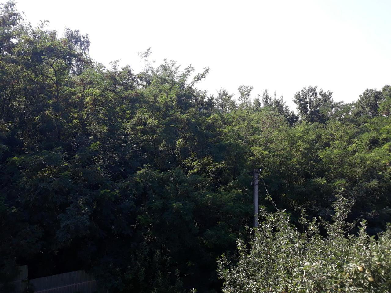 Котедж "Лісовий Затишок" Glubokoye Exteriér fotografie