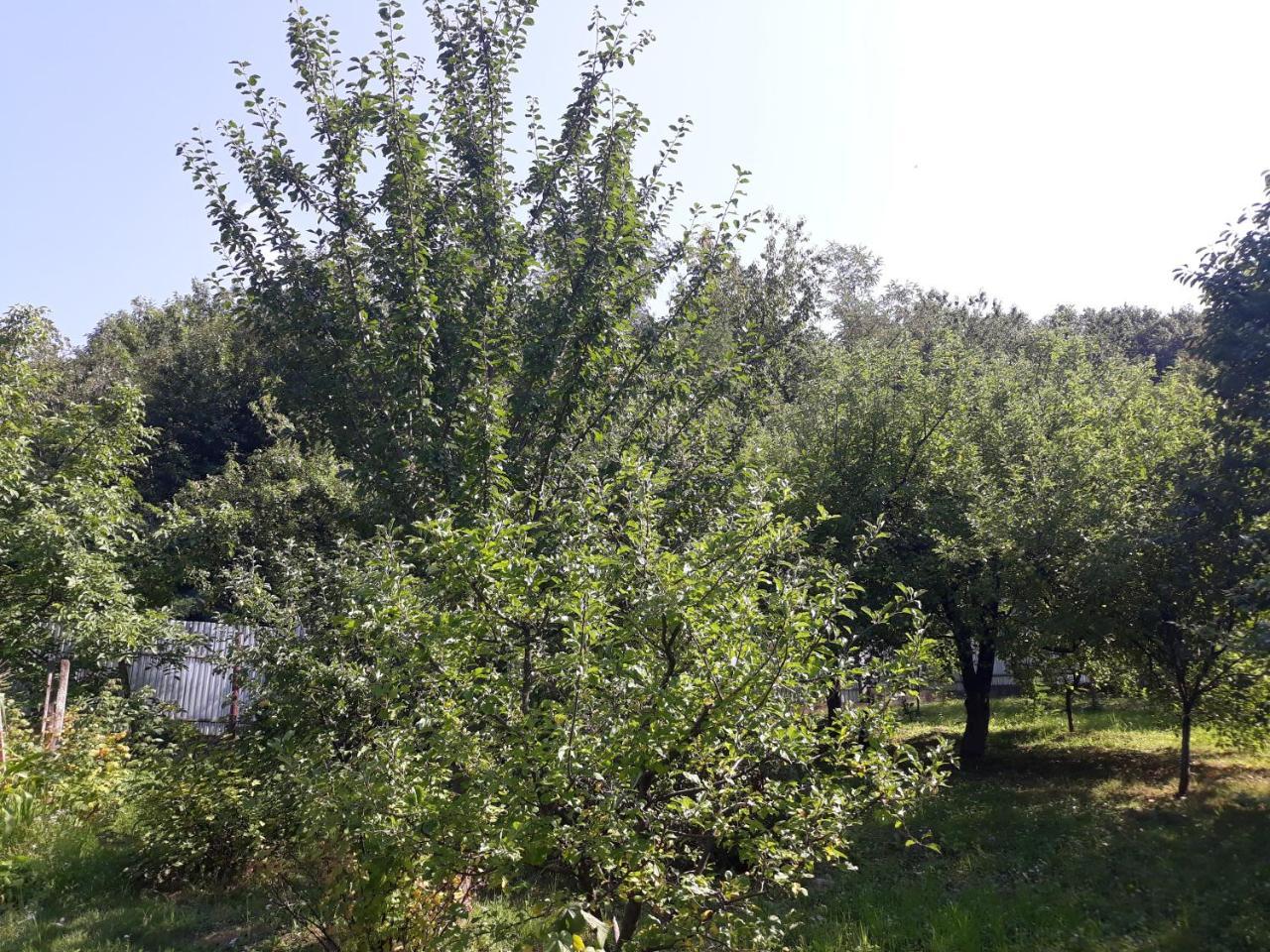Котедж "Лісовий Затишок" Glubokoye Exteriér fotografie