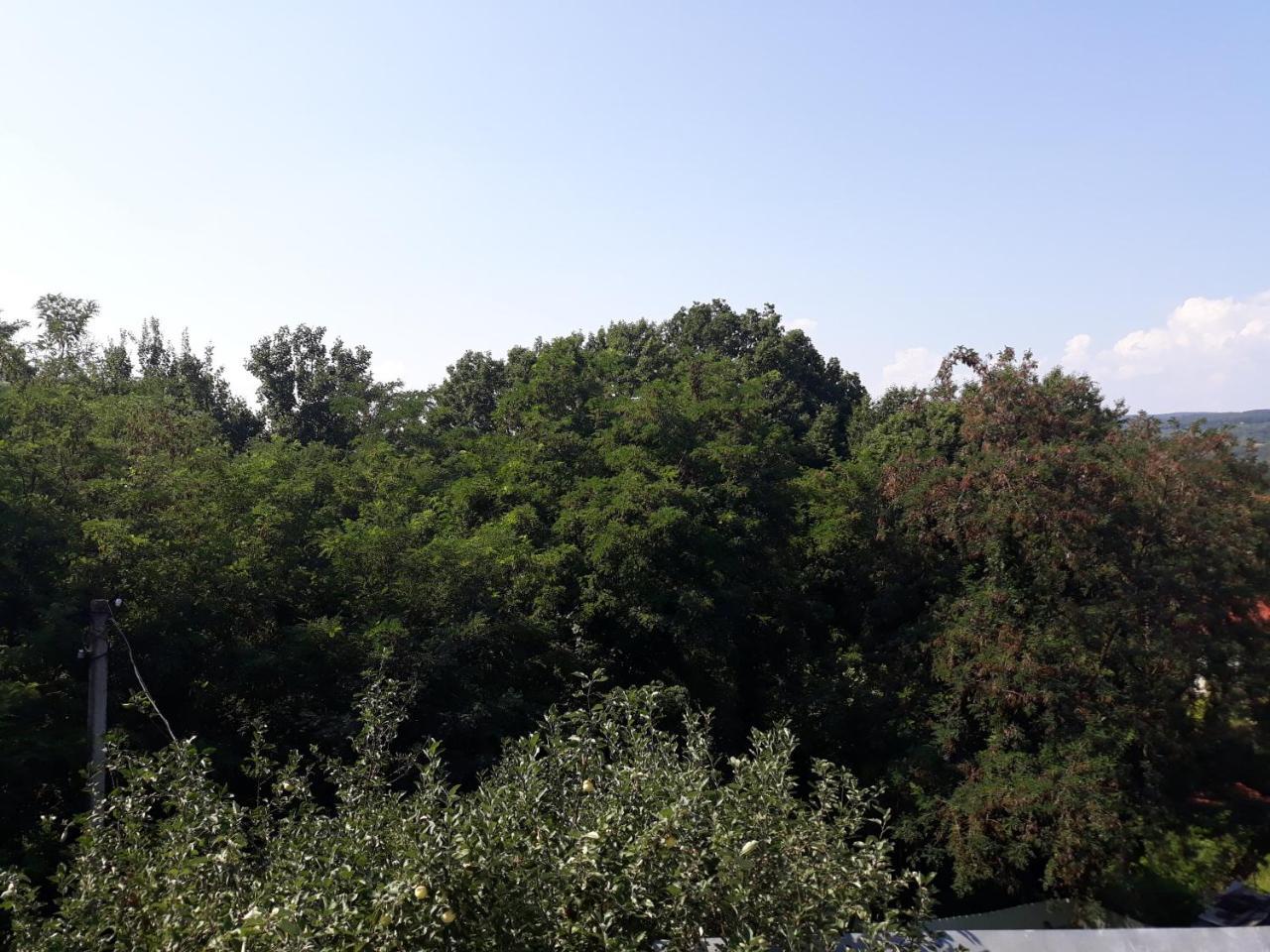 Котедж "Лісовий Затишок" Glubokoye Exteriér fotografie